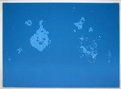 Blue Suds