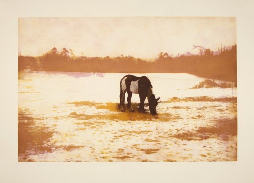 Peter Doig, Pinto from “100 Years Ago”, 2000/2001