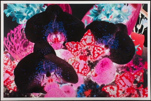 Marc Quinn, At the Far Edge of the Universe No.1, 2010