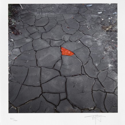 Red leaves on cracked earth by Andy Goldsworthy