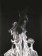 Gerhard Merz, Ed io anche son architetto (veronese), 1989