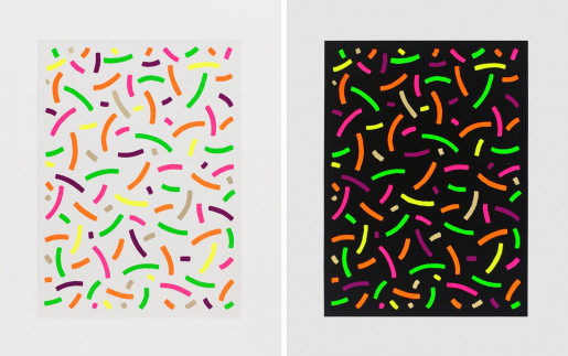 Osvaldo Mariscotti, Curves (Positive & Negative), 2019