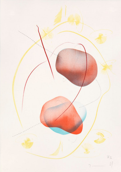 Jorinde Voigt, Immersion Unfolded IX, 2019