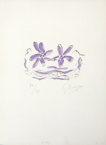 Deux fleurs violettes by Georges Braque