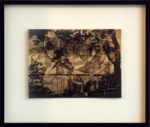 Shannon Bool, Superimposition “Blossoms”, 2012