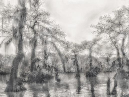 Alexandra Penney, Sunlight Swamp, Atchafalaya Basin, Louisiana, 2005-2006