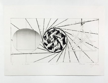 1/2 Sunglasses, Landing Net, Triangle by James Rosenquist