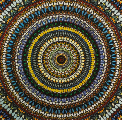 Covenant by Damien Hirst