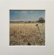 «TOGETHER» A17, January, February, March, 2007