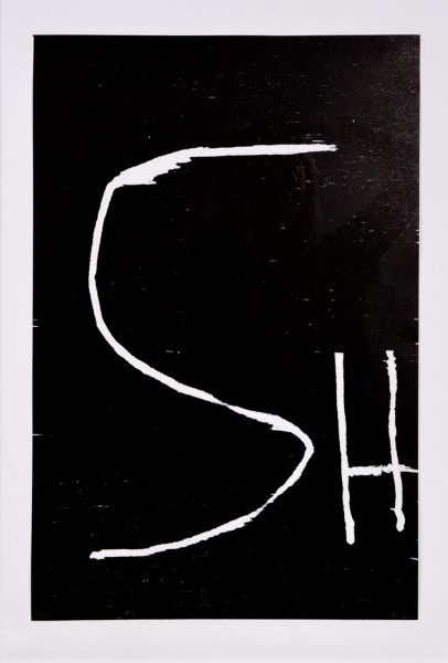 David Shrigley, SH, 2005