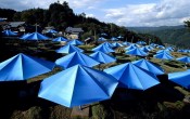 The Umbrellas, Japan