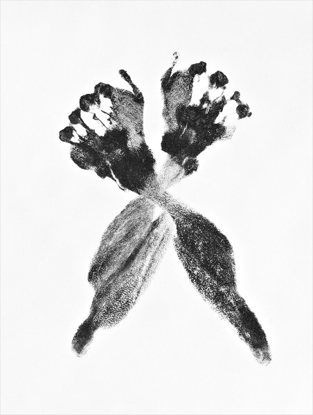 Aura Rosenberg, tied up 2, 2012