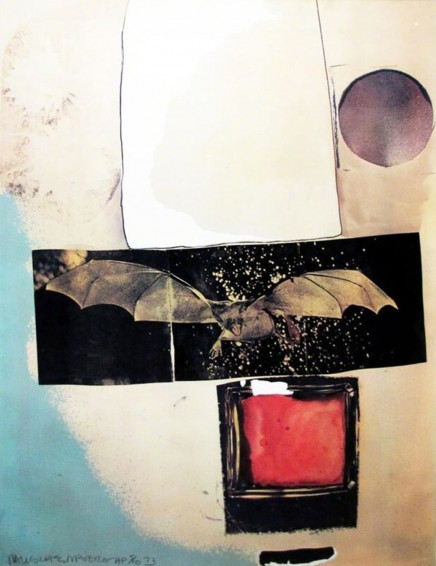 Rays by Robert Rauschenberg