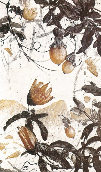 Nall, Passion Fruit, 1985-1986
