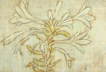 Hosta (Funkie) by Christian Rohlfs