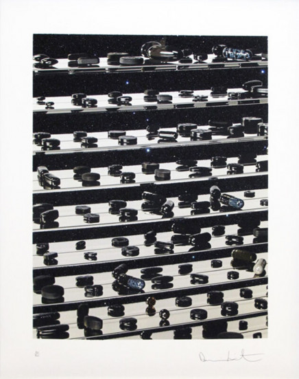 Dead Black Brilliant Utopia by Damien Hirst