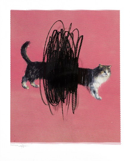 One or Two Cats by Charming Baker