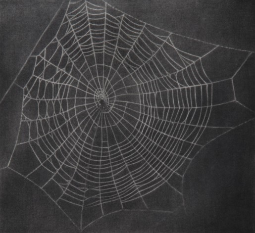 Vija Celmins, Untitled (Web 1), 1999