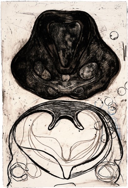 Terry Winters, Section, 1991
