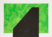 Chromoscape 9