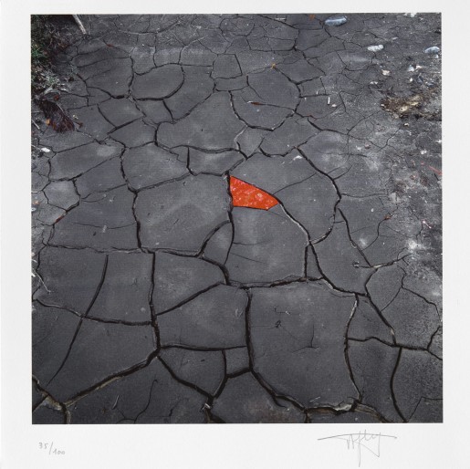 Andy Goldsworthy, Red leaves on cracked earth, 2006