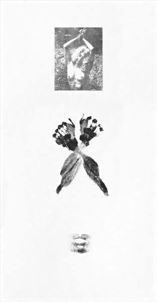 Aura Rosenberg, tied up, 2012