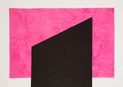 Chromoscape 5