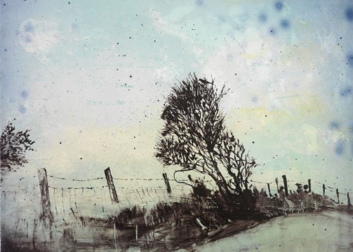 Elizabeth Magill, Thornbird, 2006