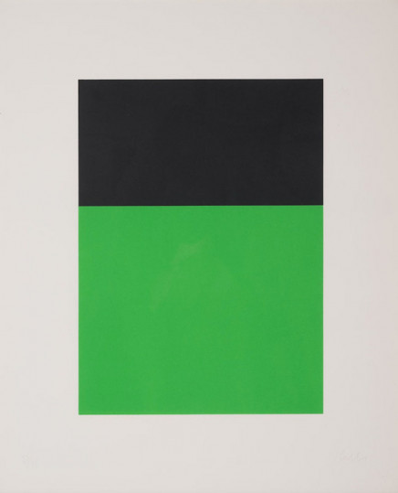 Black/Green by Ellsworth Kelly