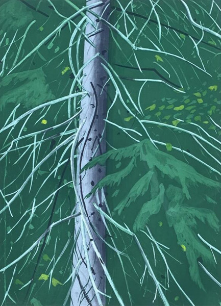 Alex Katz, Spruce, 1994