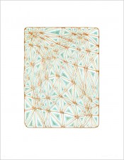 Shifted Lattice