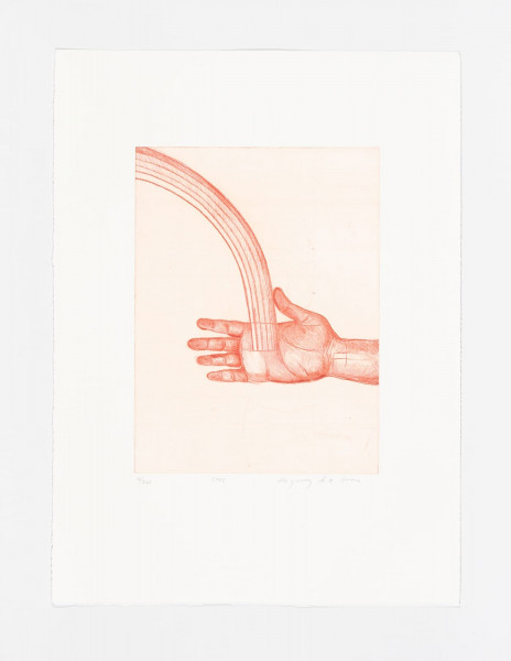 Sandra Vasquez de la Horra, De Donde Nace el Arcoiris, 2012