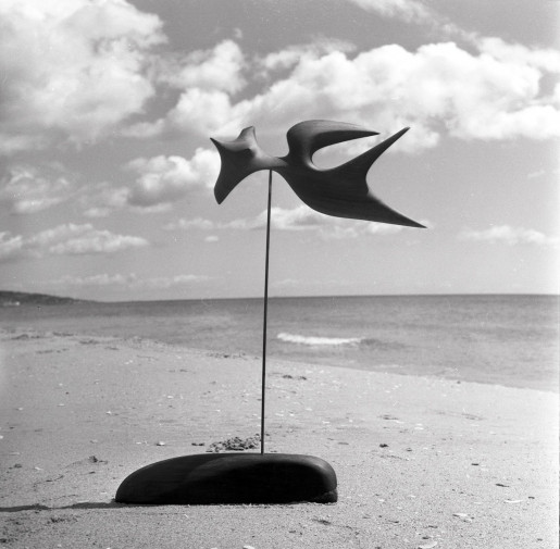 Agnès Varda, Sète, sculpture sur la plage de la corniche, 1958