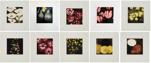 Donald Sultan, Fruits and Flowers, 1991-94