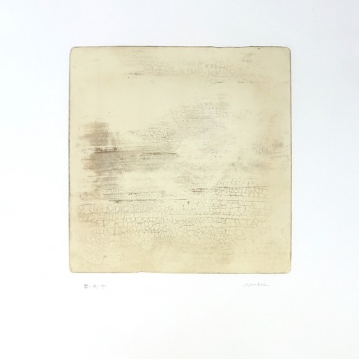 Xiaobai Su, Intactness-C, 2015