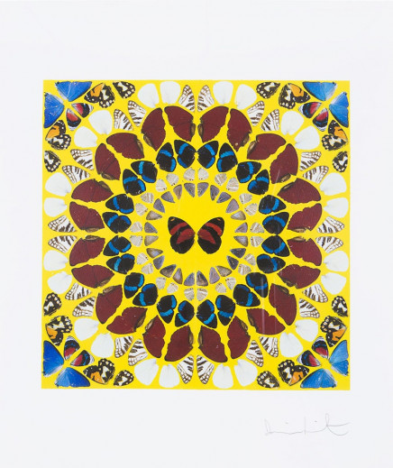 Miracle by Damien Hirst