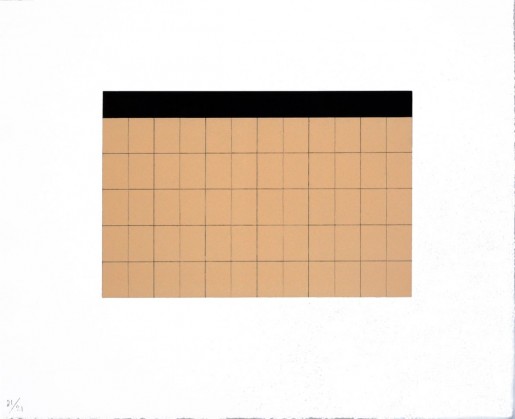 Frank Badur, Hommage à Mies van der Rohe II, 2004