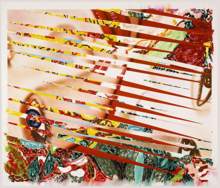 Flowers and Females  by James Rosenquist