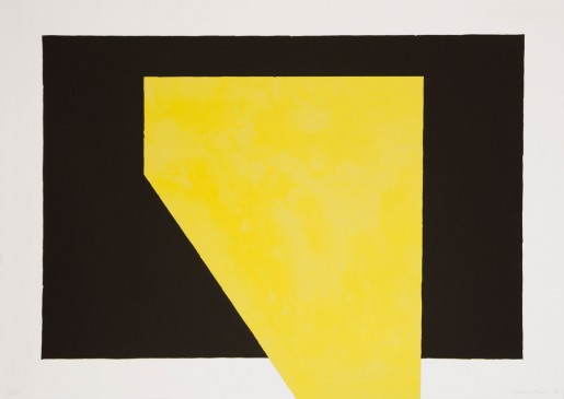 David Batchelor, Chromoscape 1, 2018