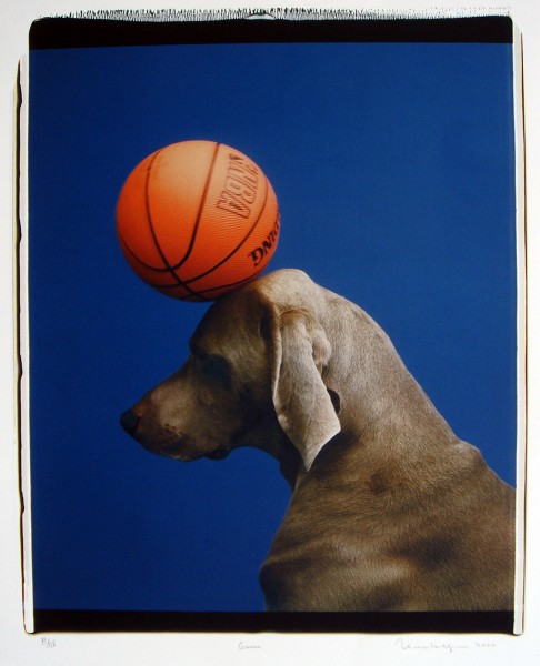 William Wegman, Game, 2000