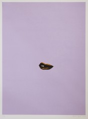 Sneer (Lilac)