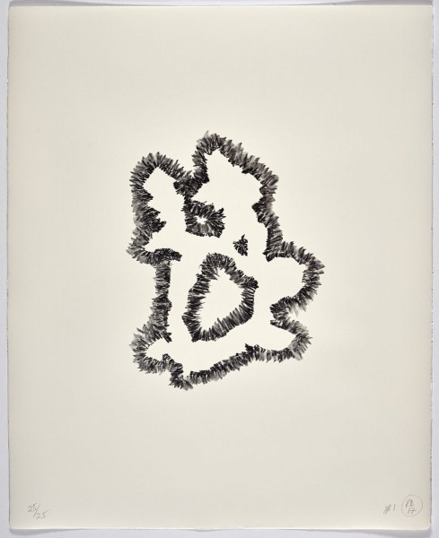 Richard Deacon, Lost #1, 2017