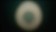Christoph Girardet & Matthias Müller, Eye, 2010