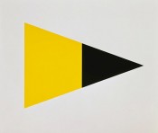 Black Yellow