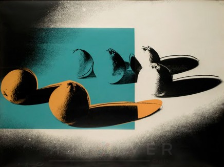 Space Fruit: Oranges (FS II.197) by Andy Warhol