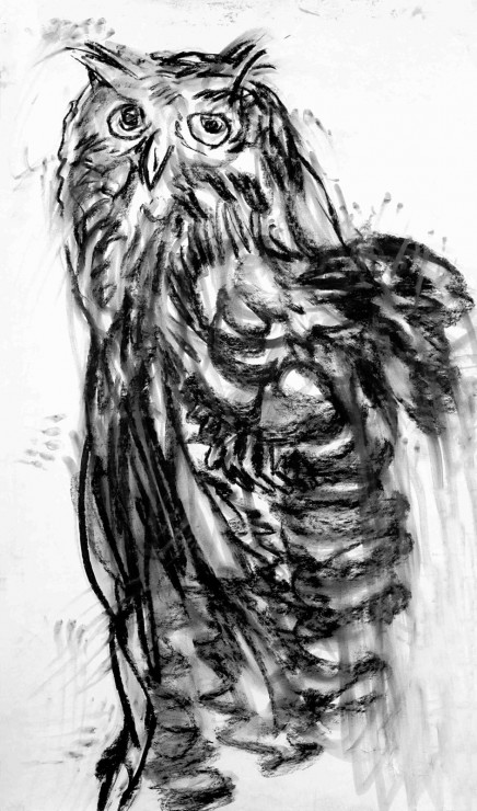 Hibou by Adel Abdessemed