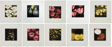 Fruits and Flowers  by Donald Sultan