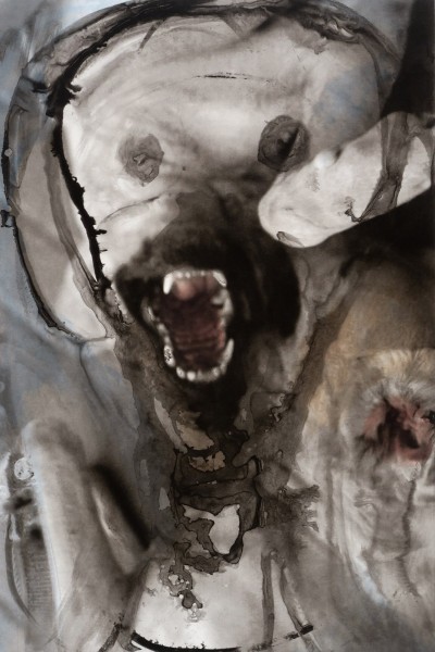Huma Bhabha, Leochicospeedy, 2016