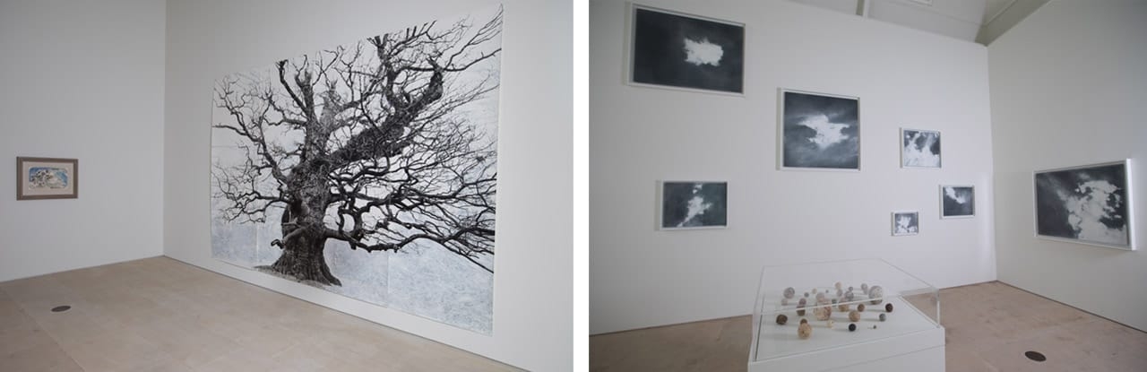 Gallery views of the Tacita Dean: LANDSCAPE exhibition at the Royal Academy of Arts, London. Artworks: Courtesy the artist, Frith Street Gallery, London & Marian Goodman Gallery, New York/Paris. Images: David Parry. &copy; David Parry